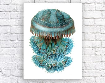 Blue Jellyfish Chandelier Nautical Vintage Style Art Print Beach House Decor Orange Sea Jelly