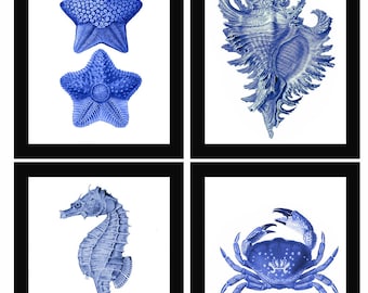 Blue Conch Shell Seahorse Starfish Crab Vintage Style Nautical Art Print Set of 4 Natural History Beach House Decor Star Fish Sea Horse