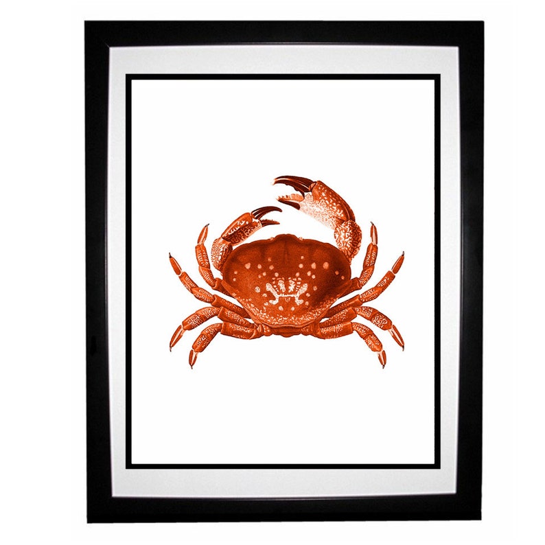Crab Red Orange Nautical Vintage Style Art Print Beach House Decor image 3