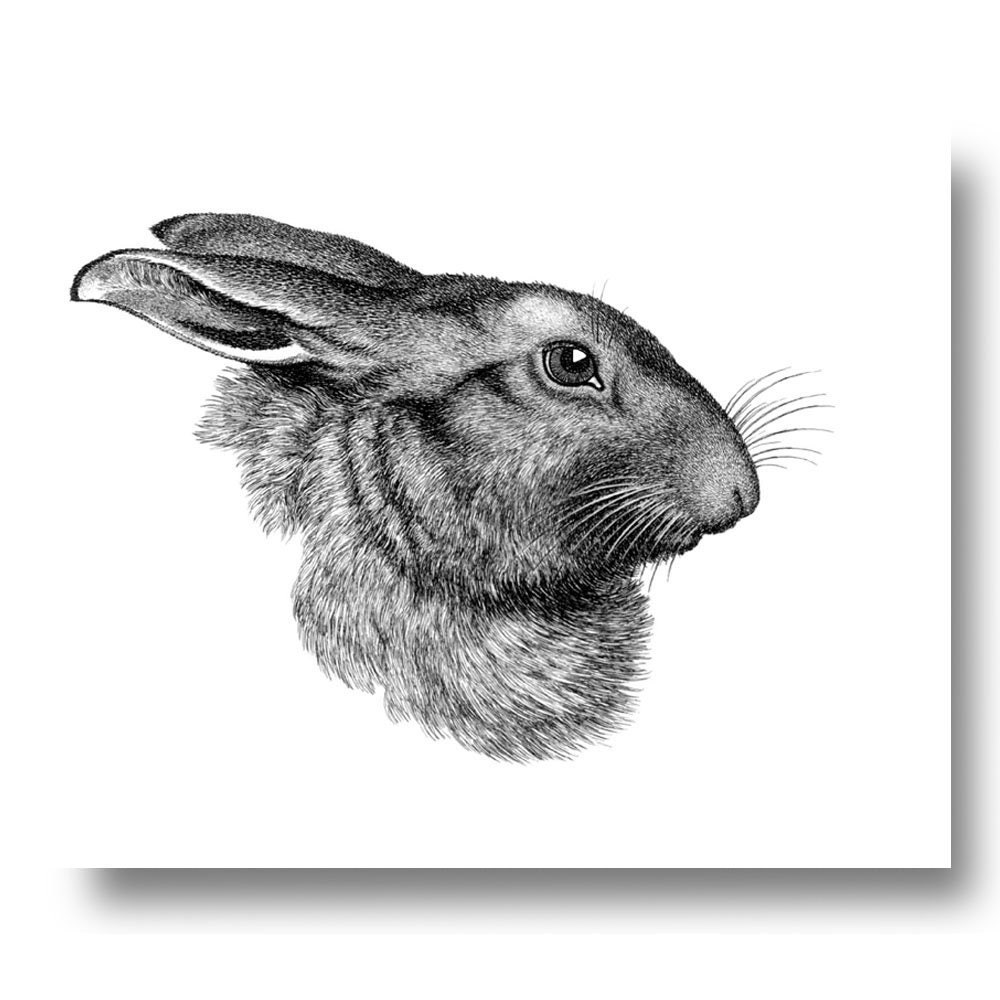 Hase Kaninchen Vintage-Stil Kunstdruck und Decor Home Bunny schwarz weiß