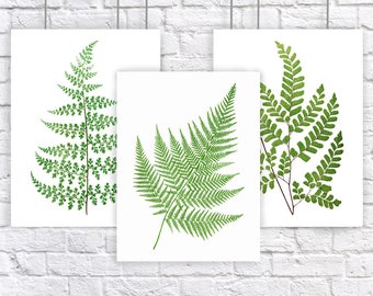 Fern Botanical Art Print Set of 3 Natural History Green Plant Woodland Leaf Garden