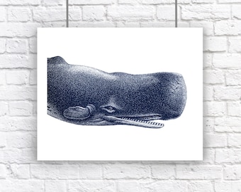 Large Blue Whale Portrait Nautical Vintage Style Art Print Beach House Decor