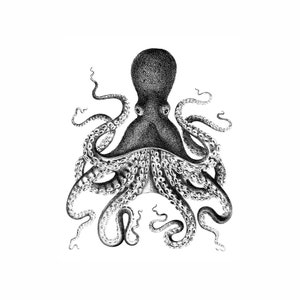 Octopus Nautical Vintage Style Art Print Black and White Grey Beach House Decor