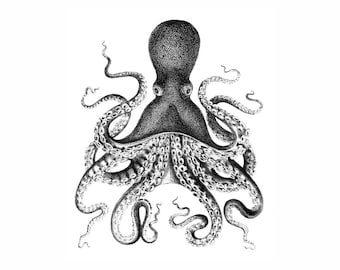 Octopus Nautical Vintage Style Art Print Black and White Grey Beach House Decor