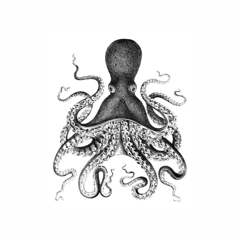 Octopus Nautical Vintage Style Art Print Black and White Grey Beach House Decor image 1