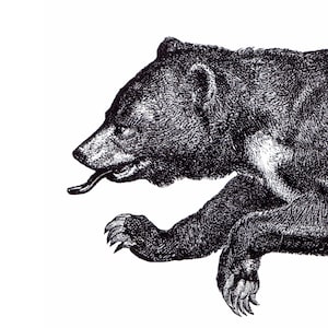 The Bear Vintage Style Art Print Black and White Grey Woodland Black Bear