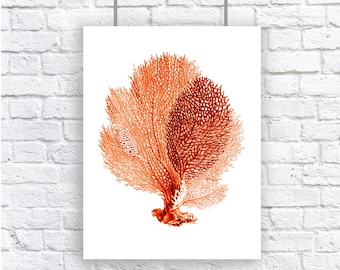 Large Sea Fan Art Print Coral  Red Orange Nautical Vintage Style  Beach House Decor