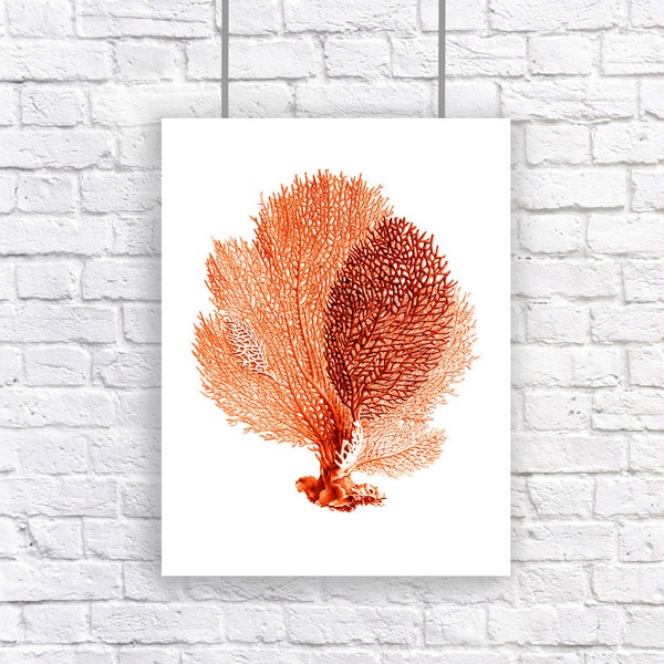 Large Sea Fan Art Print Coral  Red Orange Nautical Vintage Style  Beach House Decor