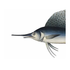 Blue Marlin Portrait Nautical Vintage Style Print Beach House Decor Fish