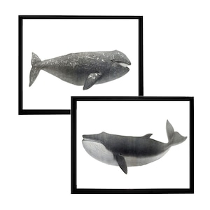 Wal Set Maritim Vintage Stil Kunstdruck schwarz weiß grau Strand Haus Dekor Kinderzimmer Buckelwal