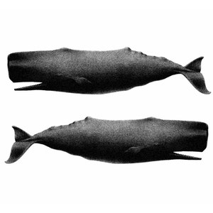 Twin Whales Nautical Vintage Style Art Print Beach House Decor Black and White image 2