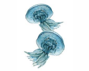 Jellyfish Blue Nautical Vintage Style Art Print Beach House Decor