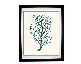 Blue Green Coral Vintage Style Nautical Art Print Beach House Decor