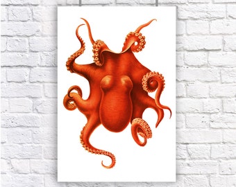 Poster Size Octopus Orange Red Nautical Vintage Style Art Print Beach House Decor