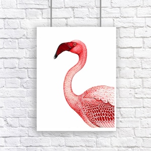 Flamingo Pink Bird Large Nautical Vintage Style Art Print Beach House Decor