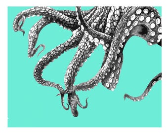 Octopus Tentacles Nautical Vintage Style Print Beach House Decor Blue Gray Squid
