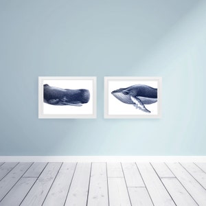 Großer Blauwal Portrait Maritim Vintage Stil Art Print Set Strandhaus Blau und Weiß