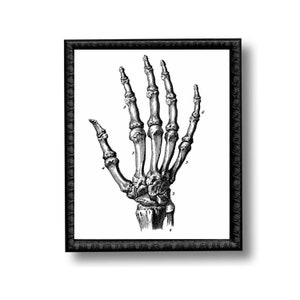 Skeleton Hand Bones Anatomy Diagram Vintage Style Art Print Skull Black and White Grey Halloween Goth