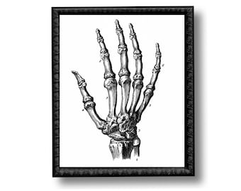 Skeleton Hand Bones Anatomy Diagram Vintage Style Art Print Skull Black and White Grey Halloween Goth