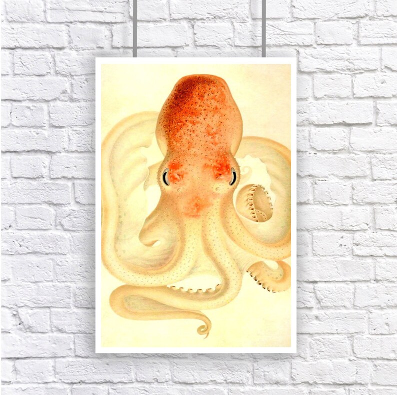 Large Octopus Nautical Vintage Style Art Beach House Decor Orange Tan Peach image 1
