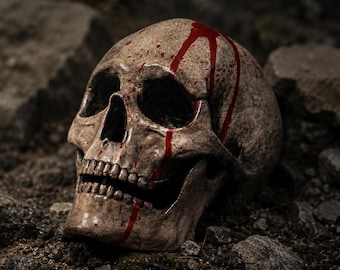 Puede incluir: Una réplica realista de cráneo humano con una textura de hueso blanquecino desgastado, cuencas oculares profundas, cavidad nasal y dentadura. Gotas de pintura roja brillante corren por el lado del cráneo y a lo largo de la mandíbula.