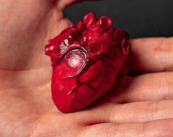Figura anatómica de corazón, corazón humano ensangrentado impreso en 3D, decoración espeluznante para Halloween.