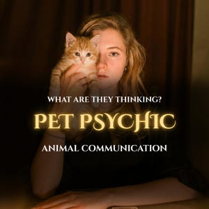May include: A person holding a small orange tabby cat. The image has text that reads "WHAT ARE THEY THINKING? PET PSYCHIC ANIMAL COMMUNICATION". The background is dark.