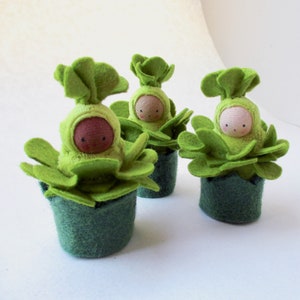 Lettuce Baby Doll // Waldorf Toy // Sprout Doll // Nature Table ...