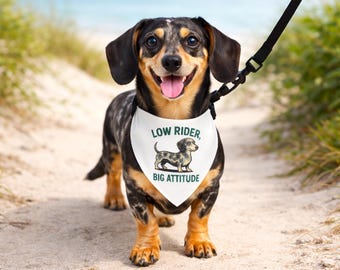 Collar tipo bandana para perro salchicha, bufanda para perro Low Rider Big Attitude