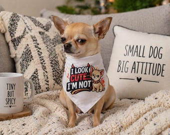 Pañuelo divertido para perros "Me veo lindo, pero no lo soy" / Bufanda para perros pequeños, medianos y grandes