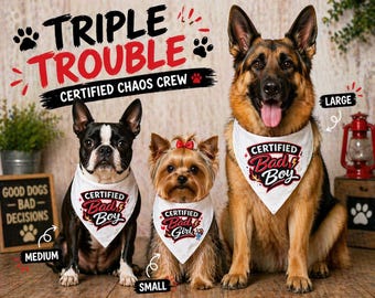 Certified Bad Boy Girl Dog Bandana, Slide On Collar Accessory, Small Medium Large