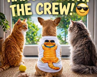 Funny Dog Shirt with Cat Design, Beach Dog Apparel