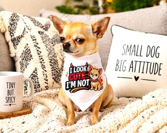 Bandana divertente per cani "Sembro carino, ma non lo sono" / Sciarpa per cani di taglia piccola, media e grande