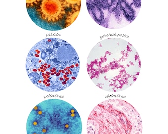 Public Health Poster: Epidemics