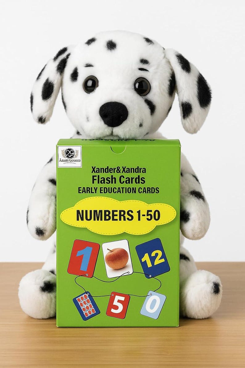Numbers 1-50 Flash Cards – Waterproof Montessori Learning - Etsy