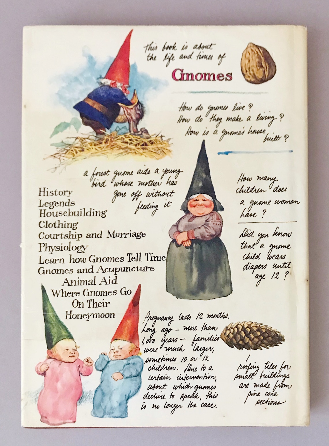 Vintage 1977 Gnomes Hardcover / Hardback Book Etsy
