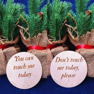 Puede incluir: Pequeños árboles de Navidad envueltos en arpillera y atados con cinta roja. Cada árbol tiene un disco de madera con el texto: "You can touch me today" y "Don't touch me today, please".