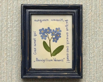 Pressed Flower Frame, Dried Flower Art, Forget me nots Picture, Romantic Gift, Original Artwork