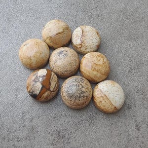 May include: Eight round, polished cabochons made of natural picture jasper stone. Each piece features a unique pattern of tan, beige, and dark brown earthy tones with swirling inclusions and speckled textures, arranged in a cluster formation.