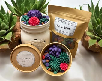 Handmade organic coconut/soy wax melts