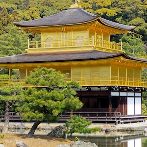 Golden Pavillon Kyoto Postcard