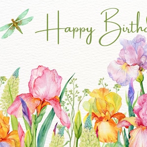Happy Birthday Dragonfly Flowers Postcard