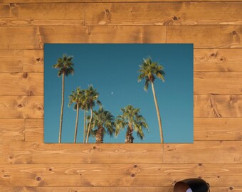Palm Springs Palm Tree Print | Modern Desert Wall Art | Mid Century Minimalist Photography | Digital Download | California Travel Photo