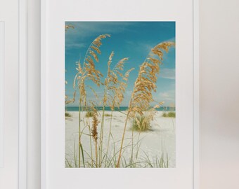 Florida Beach Print | Coastal Wall Art for Airbnb & Beach House | Florida Seagrass Photography | Minimalist Ocean Digital Download