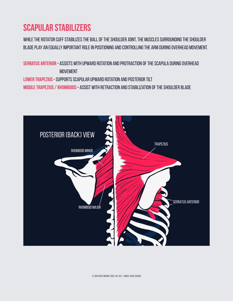 Programma di 4 settimane per le spalle degli atleti che giocano sopra la testa / Routine di cura del braccio nel baseball / Forza della cuffia dei rotatori / Esercizi per le spalle nella pallavolo immagine 6