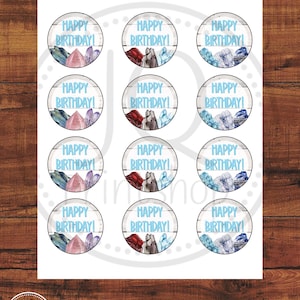 Printable Birthday Geology Cupcake Toppers, Rocks and Minerals Theme Party, Geology Party, Geology Theme Birthday, Digital Download, Set 2