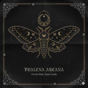 Könnte beinhalten: Eine schwarz-goldene Illustration einer Motte mit detaillierten Mond- und Sternmotiven. Unterhalb der Motte steht der Text "PHALENA ARCANA Occult Moth, Spirit Guide", umrahmt von einem dekorativen Rahmen.