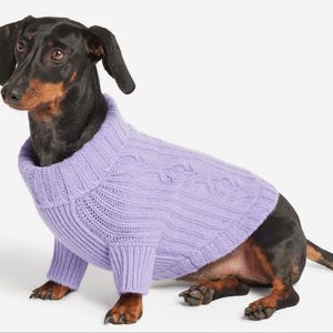 May include: A black and tan dachshund dog wearing a light purple cable-knit sweater. The dog is sitting and looking to the left. The sweater has a ribbed collar and cuffs.