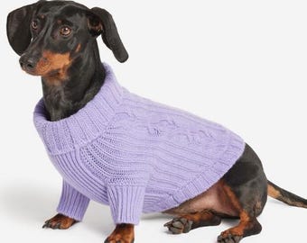 Poet Dog Jumper Crochet Pattern | Handmade Pet Sweater | Easy Beginner Crochet PDF