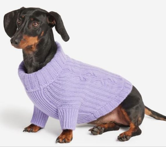 Poet Dog Jumper Crochet Pattern | Handmade Pet Sweater | Easy Beginner Crochet PDF